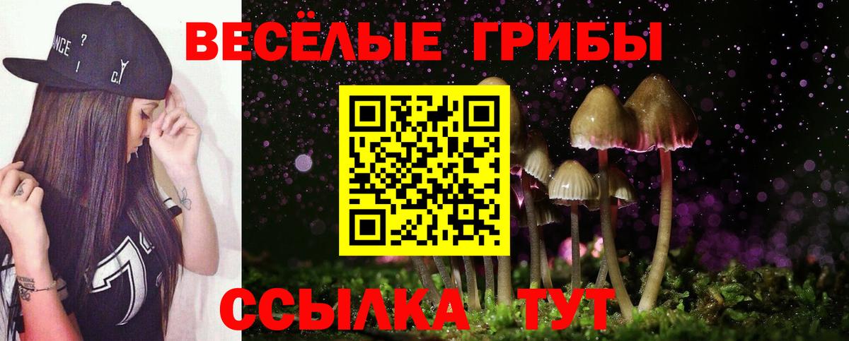 Домодедово  Галлюциногенные грибы Cubensis  Вход с VPN 